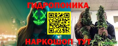 jwh Кингисепп