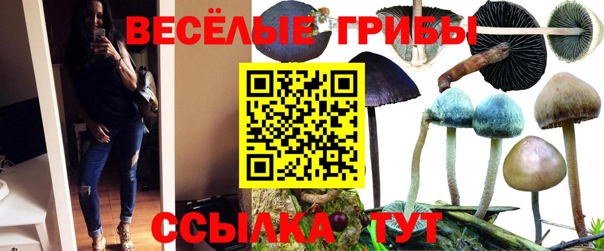 Якутск  Псилоцибиновые грибы Cubensis  Вход с VPN 